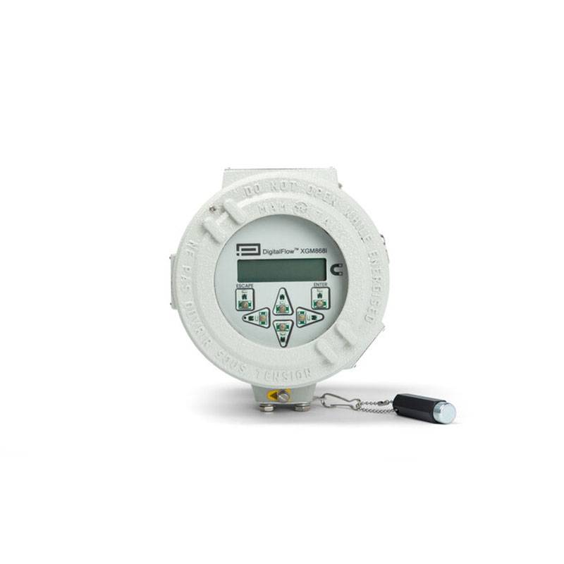 Panametrics-XGM868i